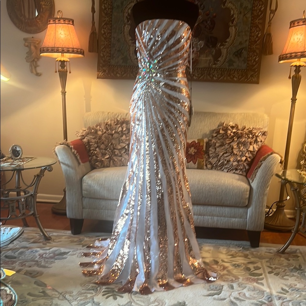 Stunning Sequin Gown